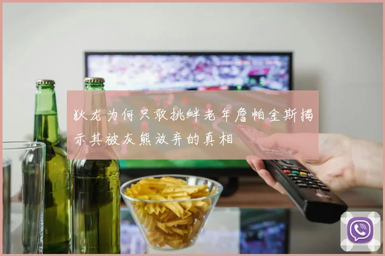 狄龙为何只敢挑衅老年詹帕金斯揭示其被灰熊放弃的真相