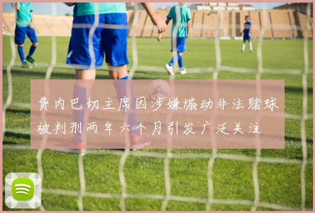 费内巴切主席因涉嫌煽动非法赌球被判刑两年六个月引发广泛关注
